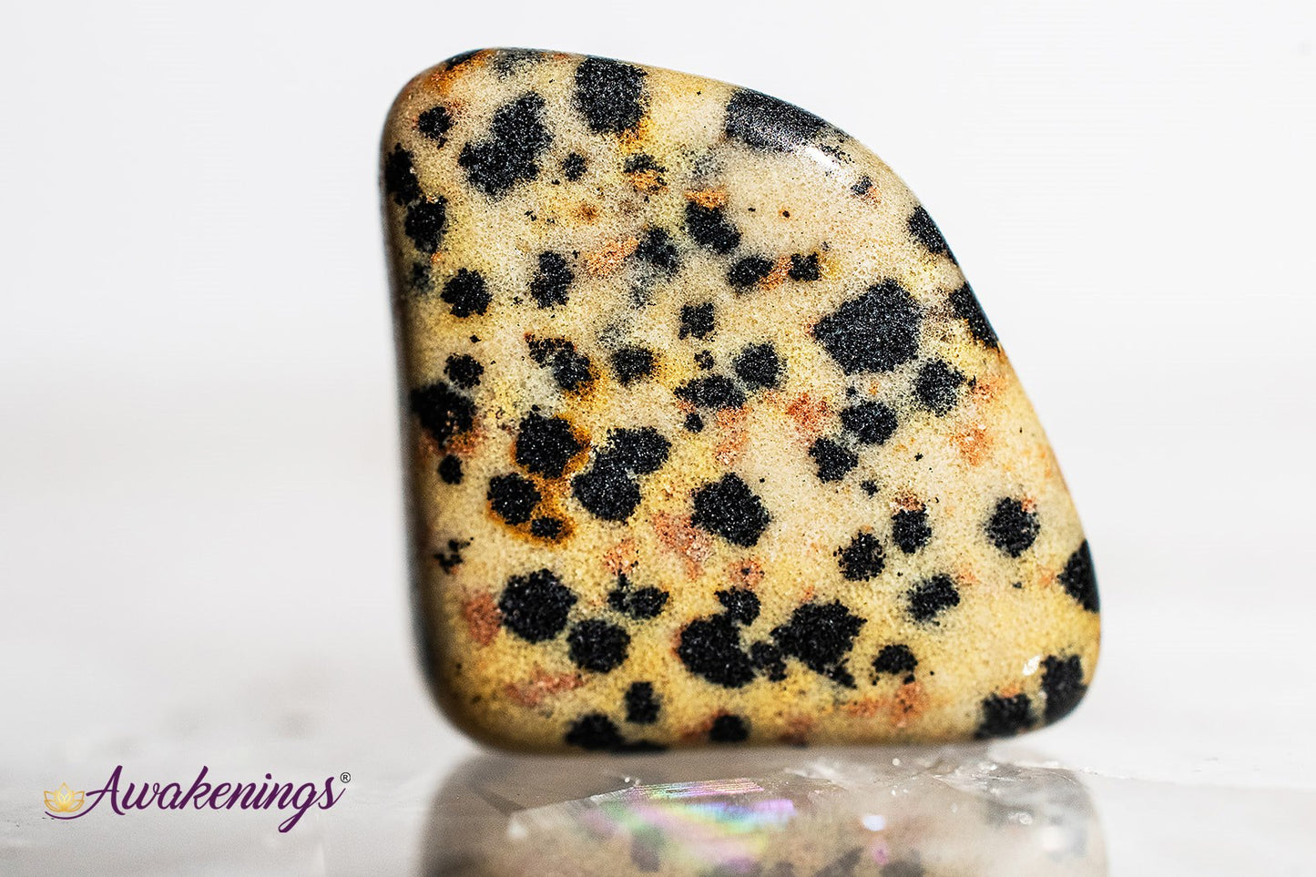 Dalmatian Jasper - Tumbled