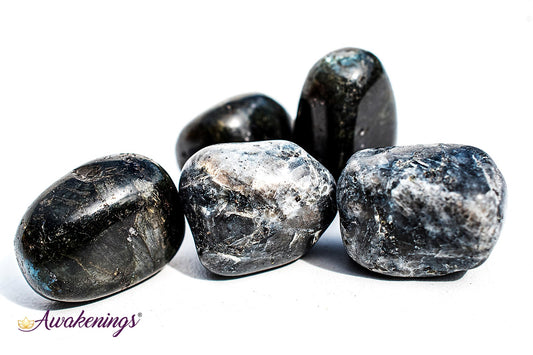 Black Labradorite/Larvikite - Tumbled