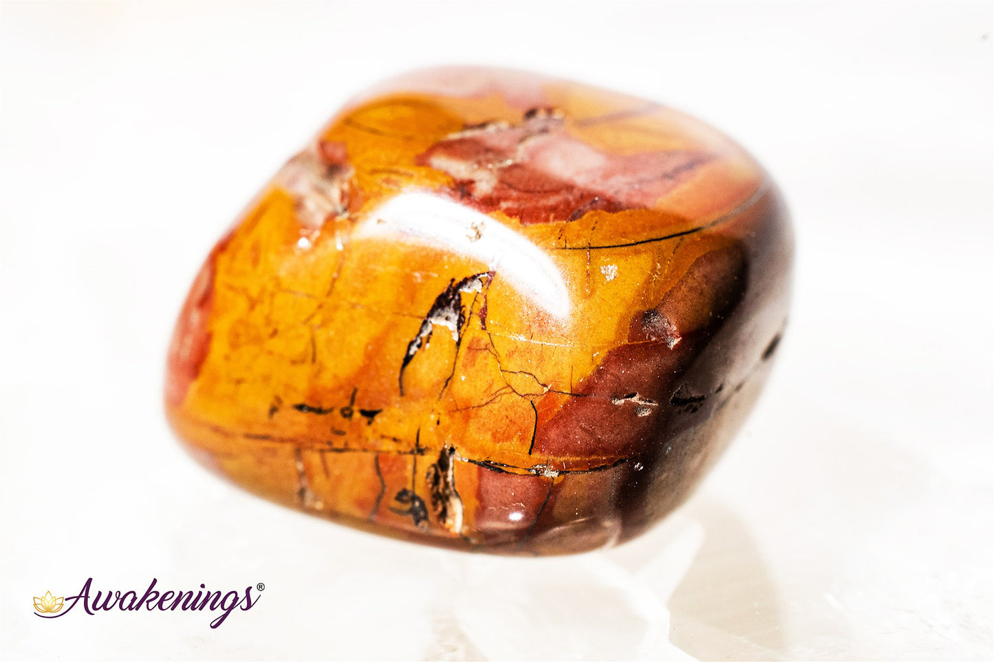 Noreena Jasper- Tumbled