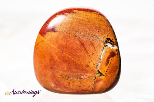 Noreena Jasper- Tumbled