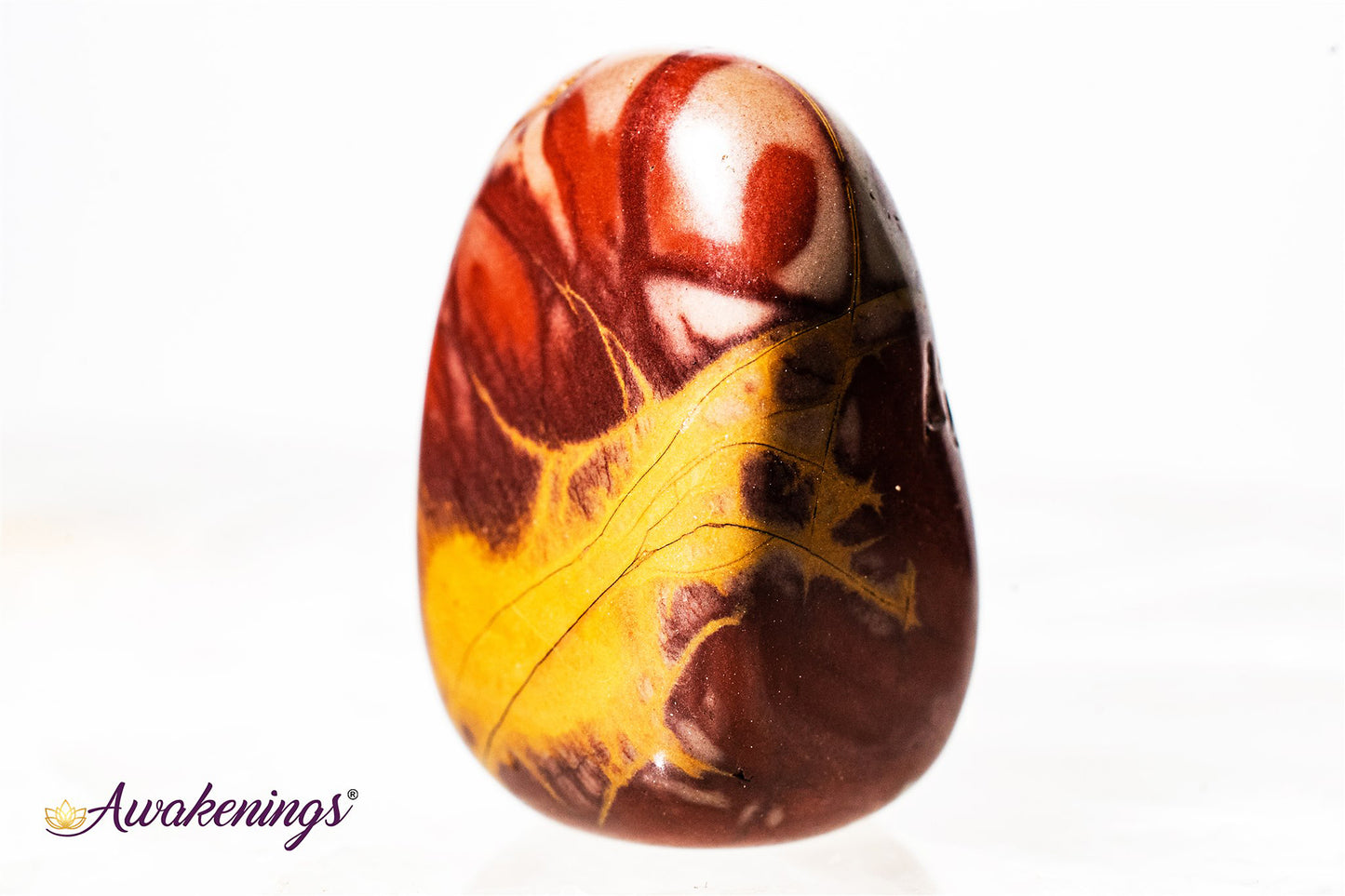 Noreena Jasper- Tumbled