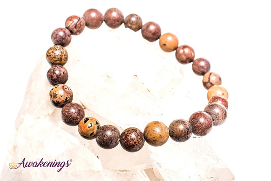 Mexican Agate Bracelet-8mm