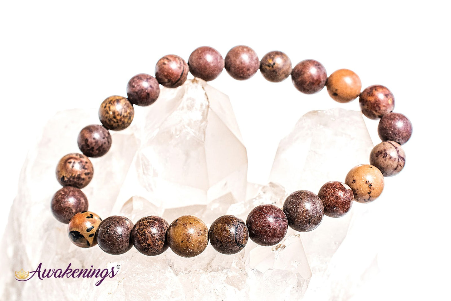 Mexican Agate Bracelet-8mm