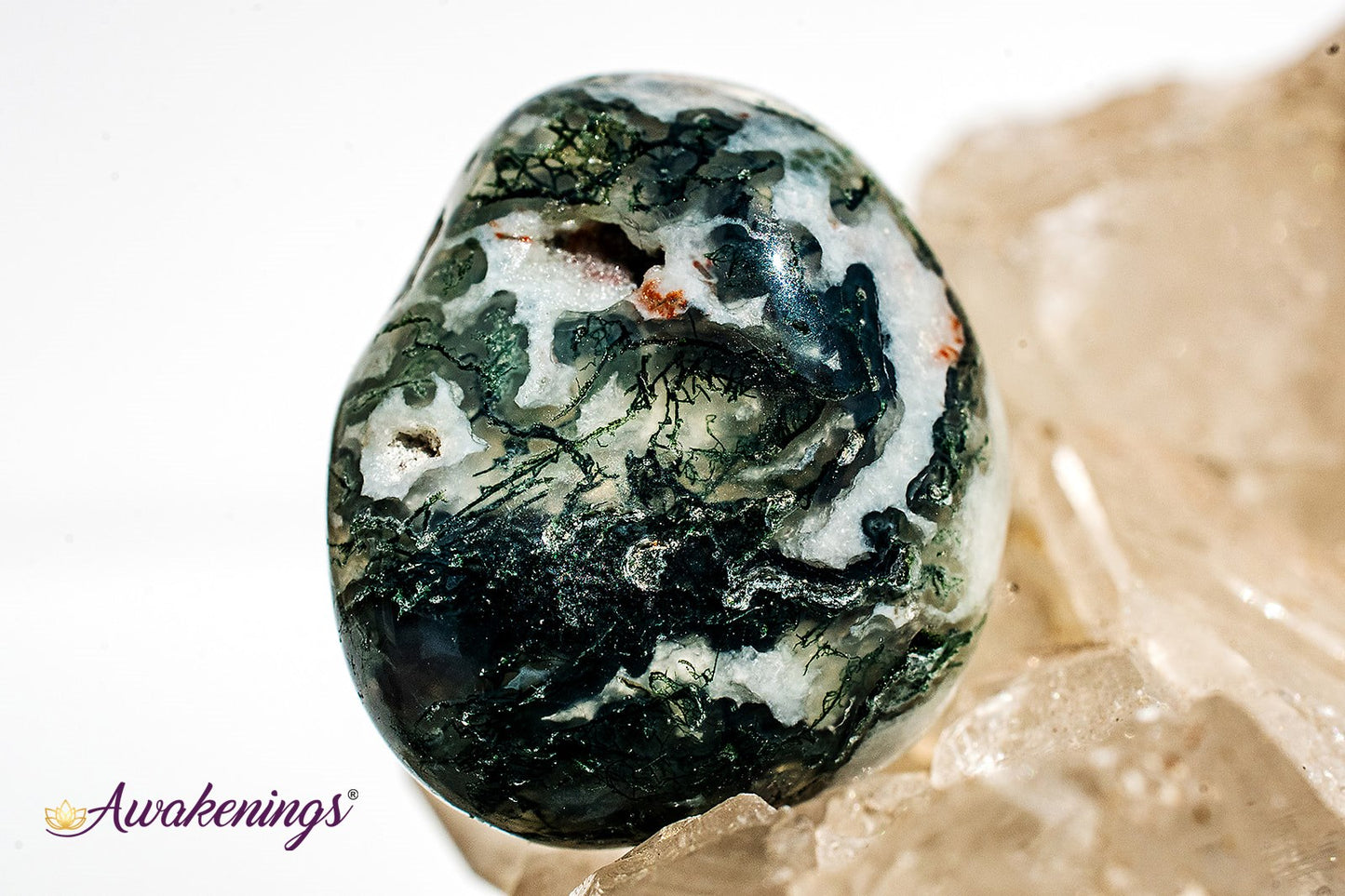 Large Tree Agate - Tumbled