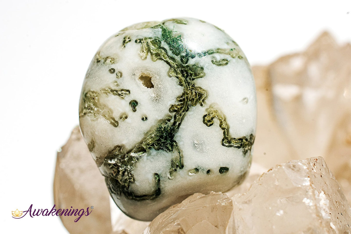Large Tree Agate - Tumbled