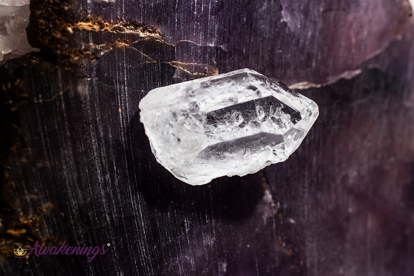 Lemurian Seed  Quartz-Small