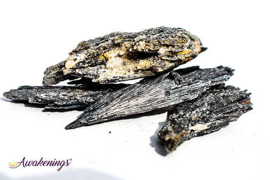 Black Kyanite Fan (1-2.5") - Rough Raw Natural