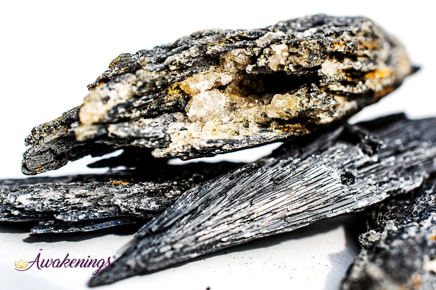 Black Kyanite Fan (1-2.5") - Rough Raw Natural