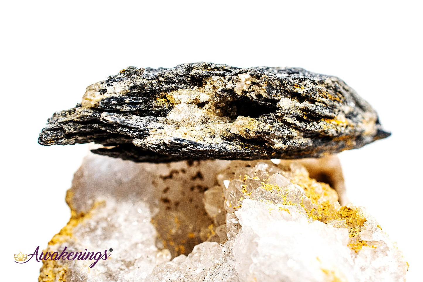 Black Kyanite Fan (1-2.5") - Rough Raw Natural