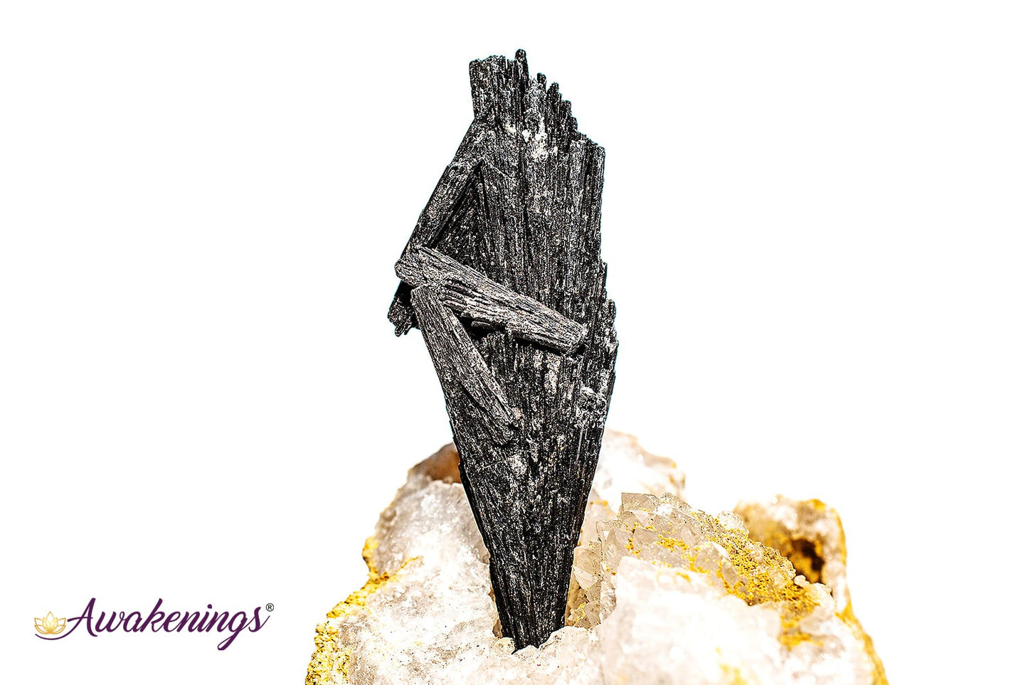 Black Kyanite Fan (1-2.5") - Rough Raw Natural