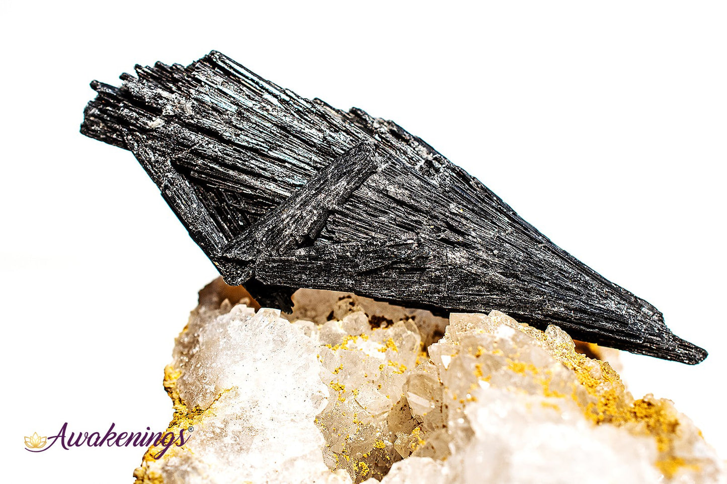 Black Kyanite Fan (1-2.5") - Rough Raw Natural
