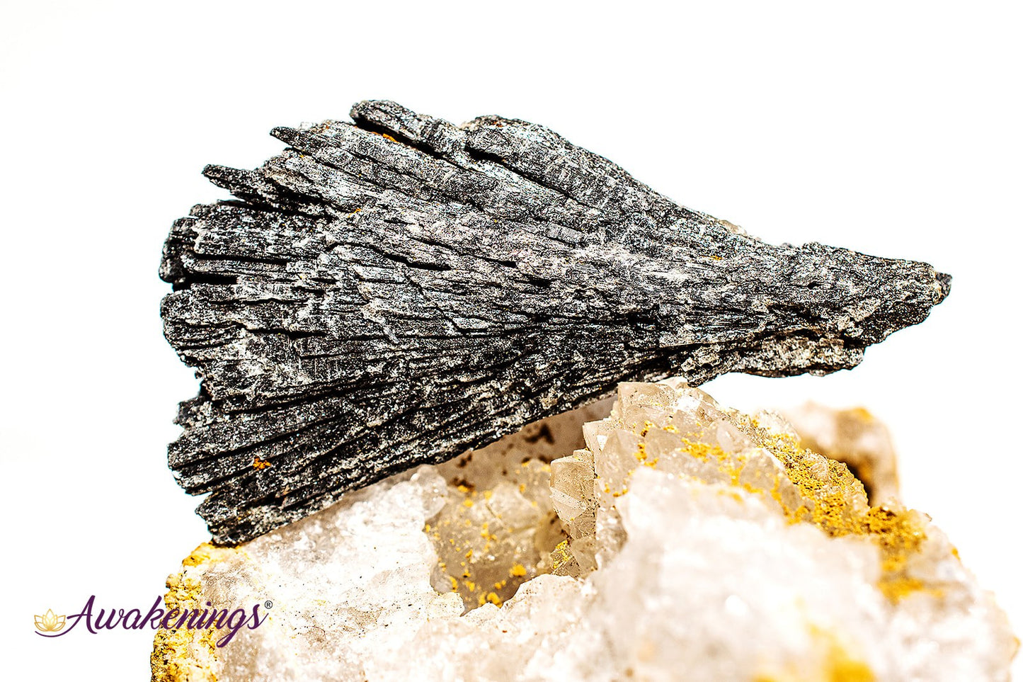 Black Kyanite Fan (1-2.5") - Rough Raw Natural