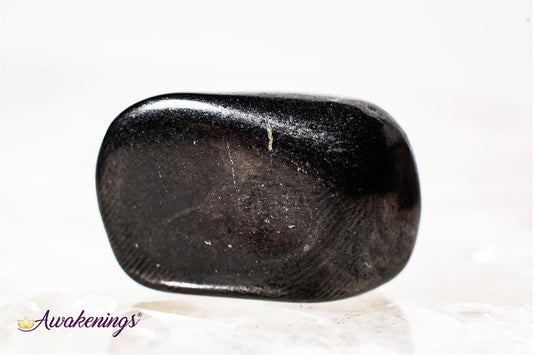 Shungite - Tumbled