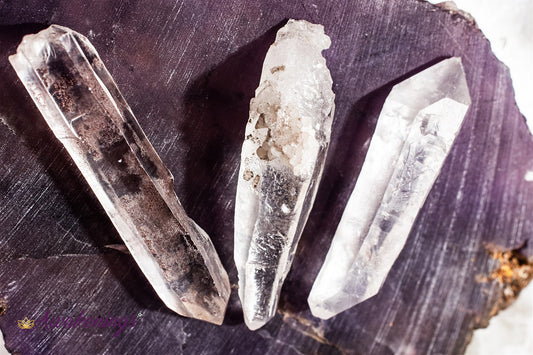 Large Lemurian Seed - Tumbled