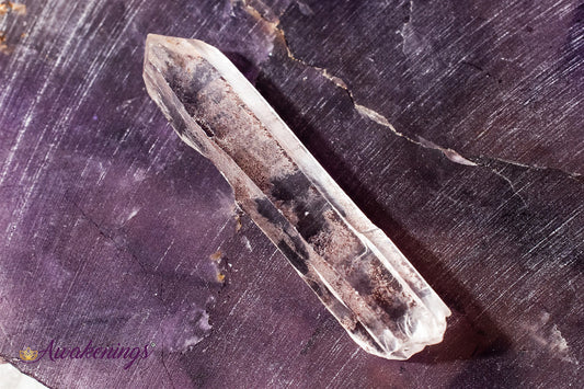 Large Lemurian Seed - Tumbled