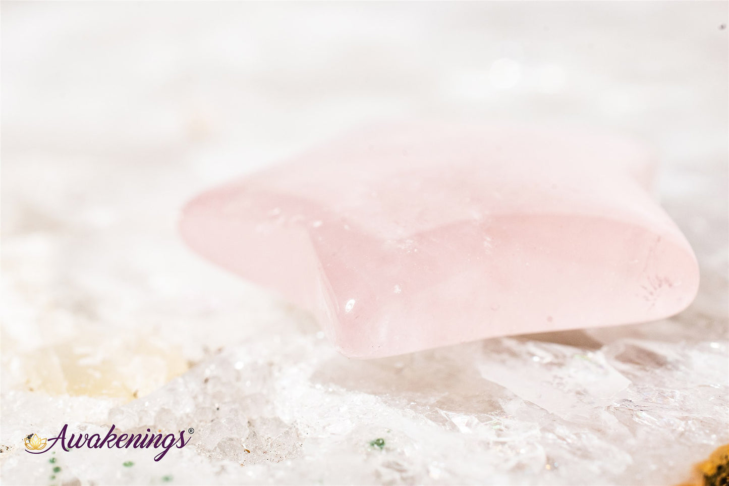 Rose Quartz Star - Medium