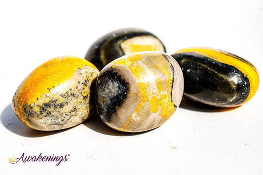 Bumblebee Jasper - Tumbled Large