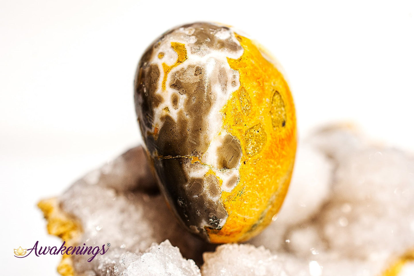 Bumblebee Jasper - Tumbled Large