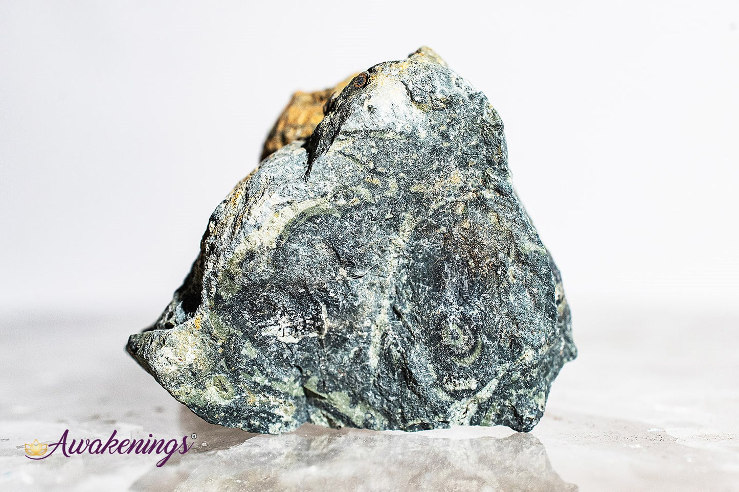 Crocodile/Kambaba Jasper Rough