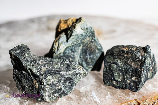 Crocodile/Kambaba Jasper Rough