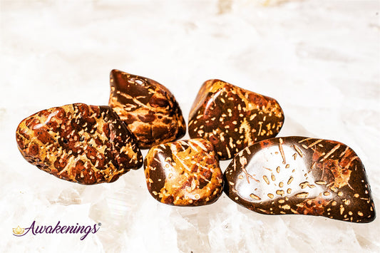 Star Jasper - Tumbled