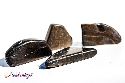 Master Shammanite/Black Calcite - Tumbled