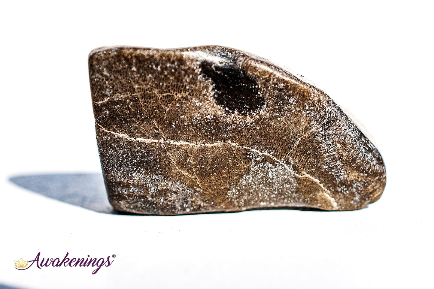 Master Shammanite/Black Calcite - Tumbled