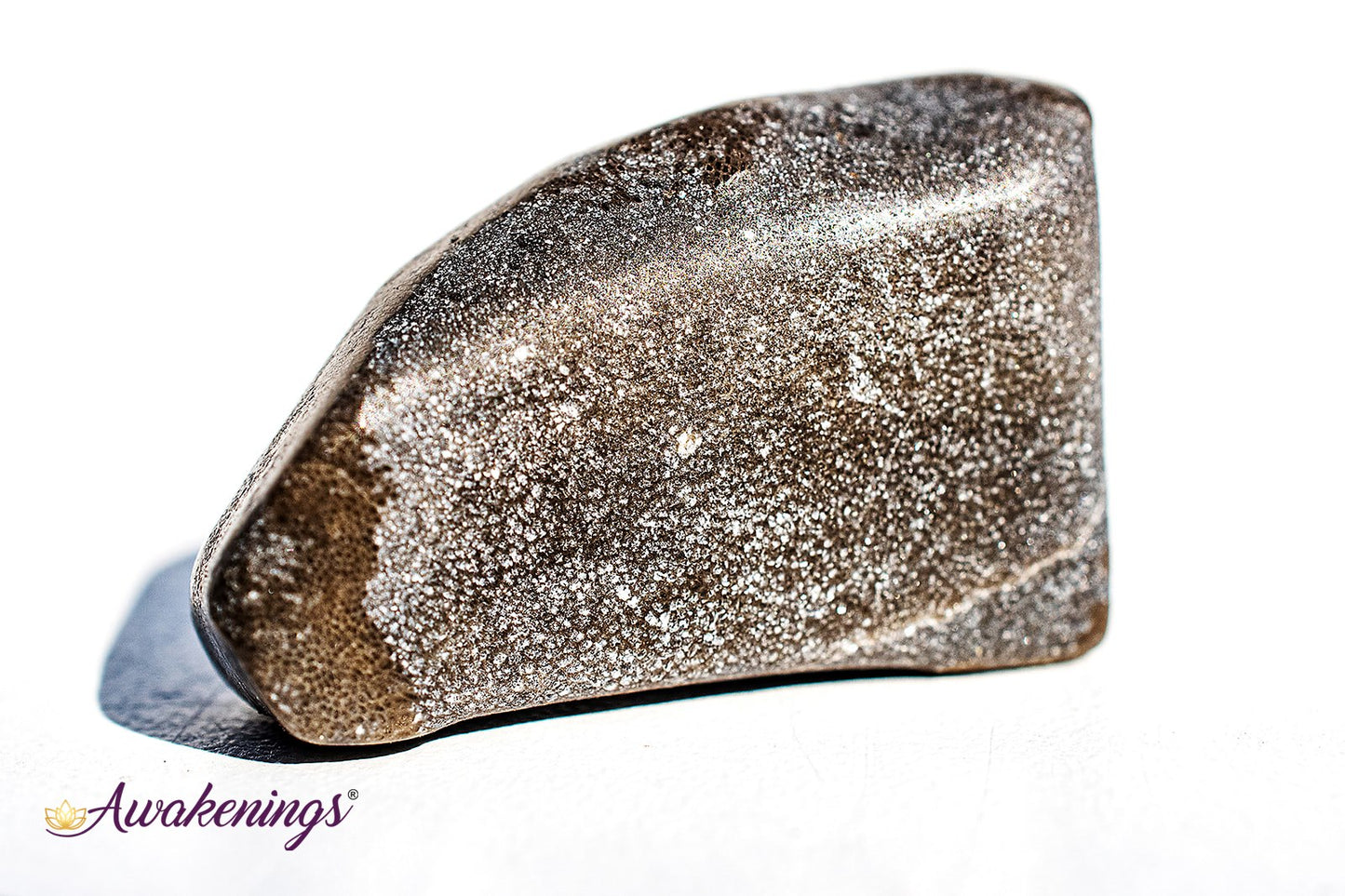 Master Shammanite/Black Calcite - Tumbled