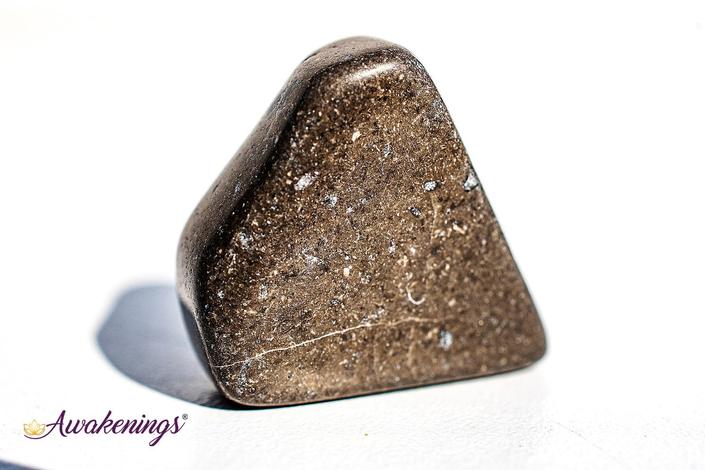 Master Shammanite/Black Calcite - Tumbled