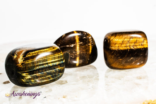 Gold Tigers Eye- Tumbled Large