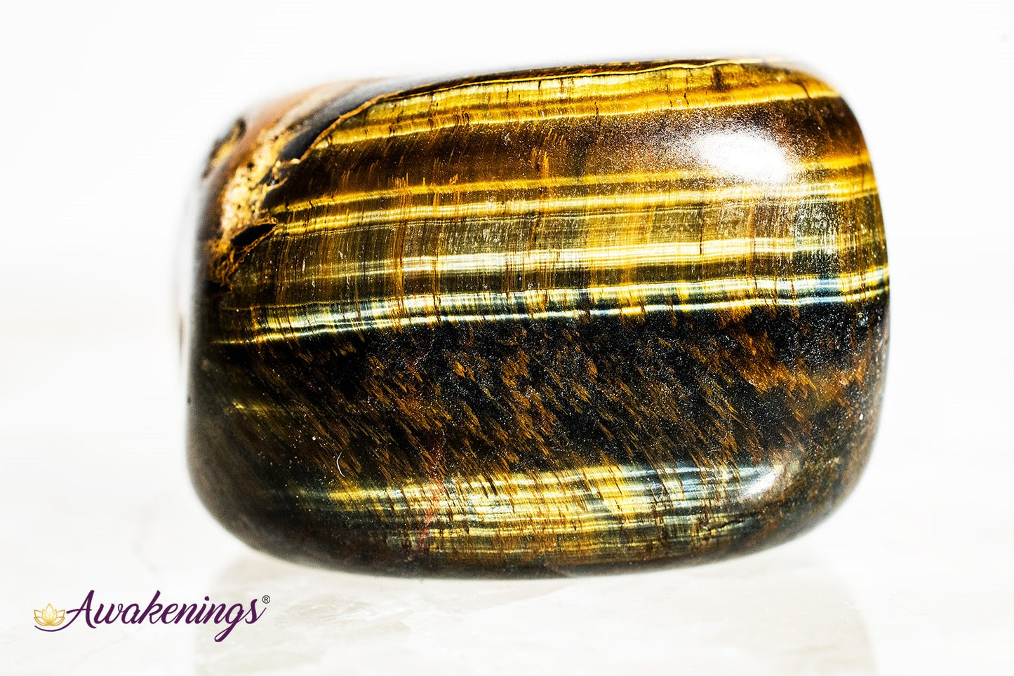 Gold Tigers Eye- Tumbled Large