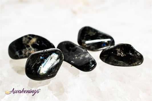 Spectrolite (Finland Labradorite) - Tumbled
