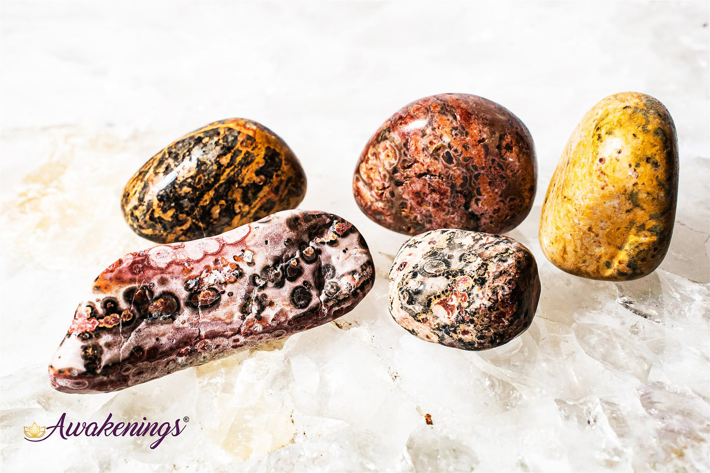 Leopardskin Jasper - Tumbled