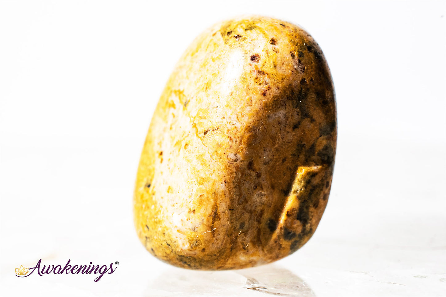 Leopardskin Jasper - Tumbled