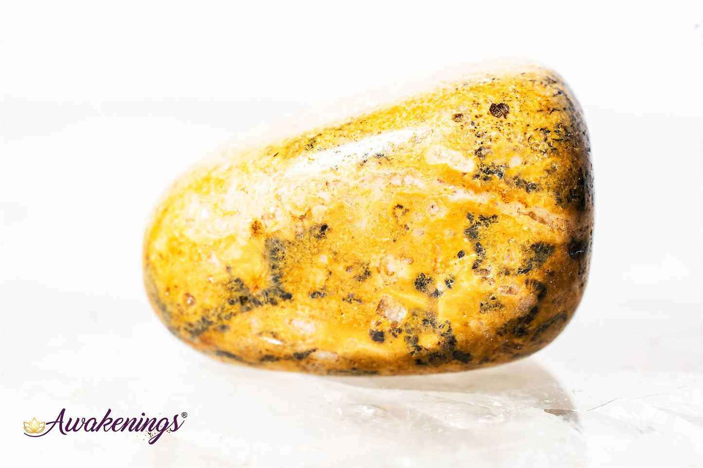 Leopardskin Jasper - Tumbled