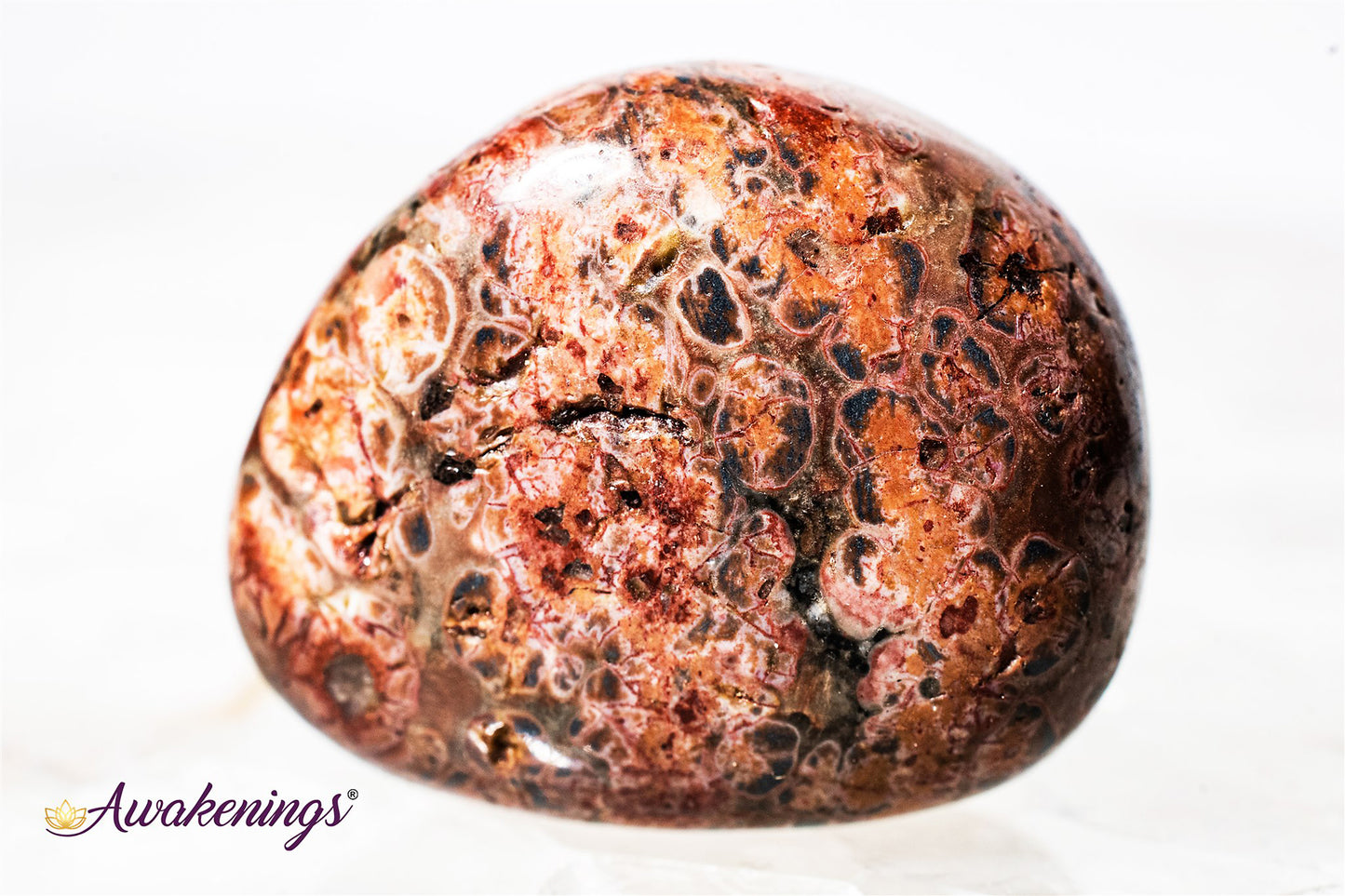 Leopardskin Jasper - Tumbled