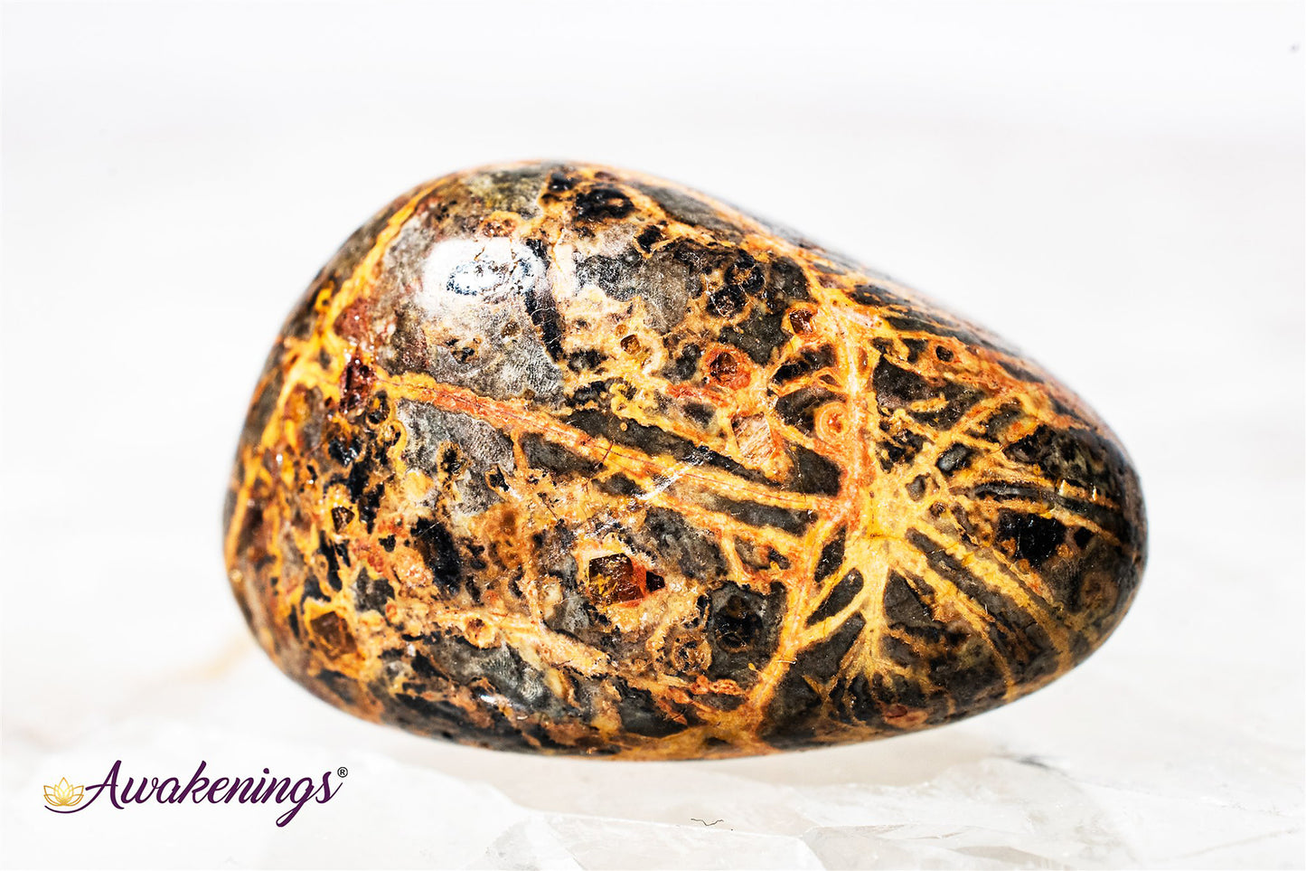 Leopardskin Jasper - Tumbled