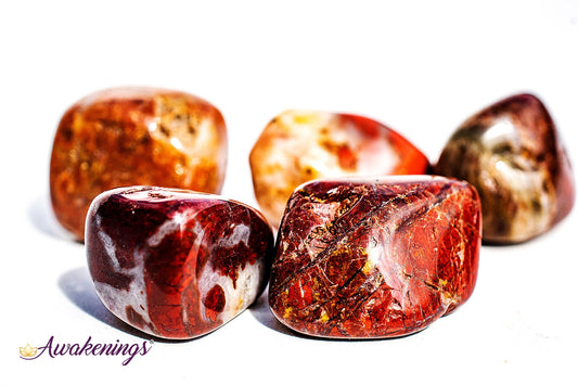 Brecciated Red Jasper - Tumbled