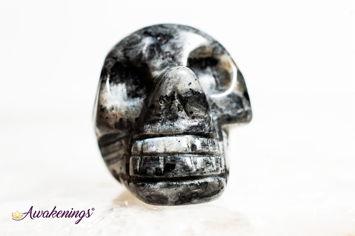 Black Labradorite/Larvikite Skull - Mini
