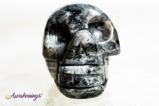 Black Labradorite/Larvikite Skull - Mini