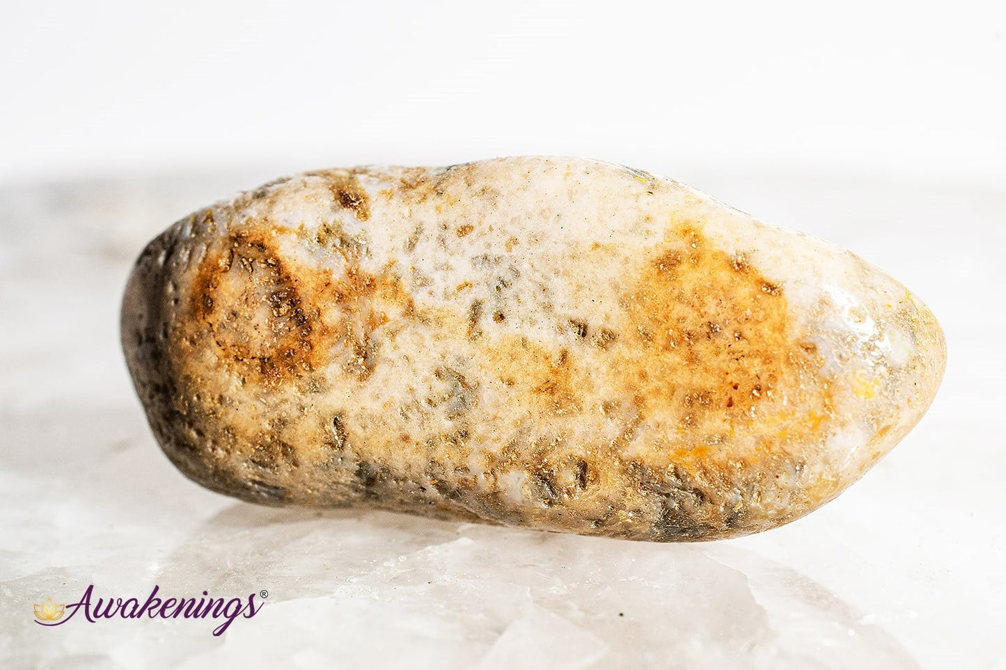Agatized Coral - Tumbled