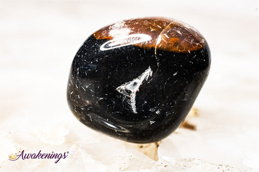 Black Sardonyx - Tumbled