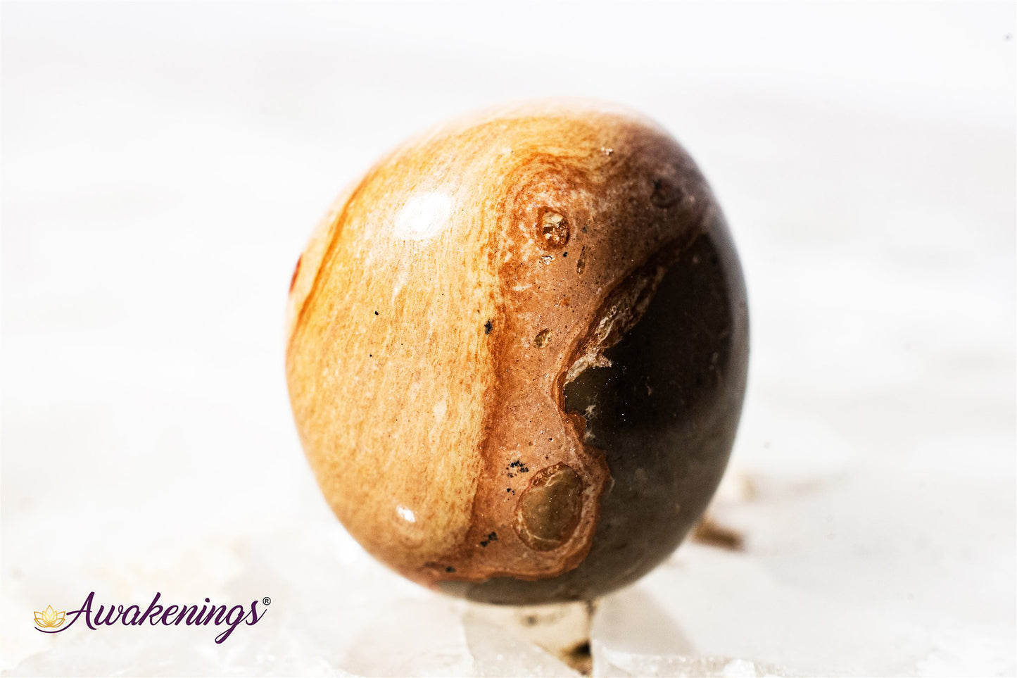 Leopardite - Tumbled