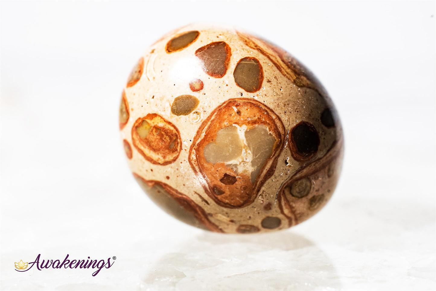 Leopardite - Tumbled