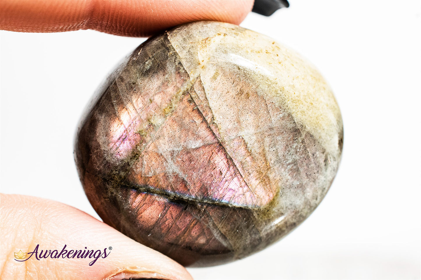 Purple Labradorite Palm/Pillow Stone-Small ( 2")