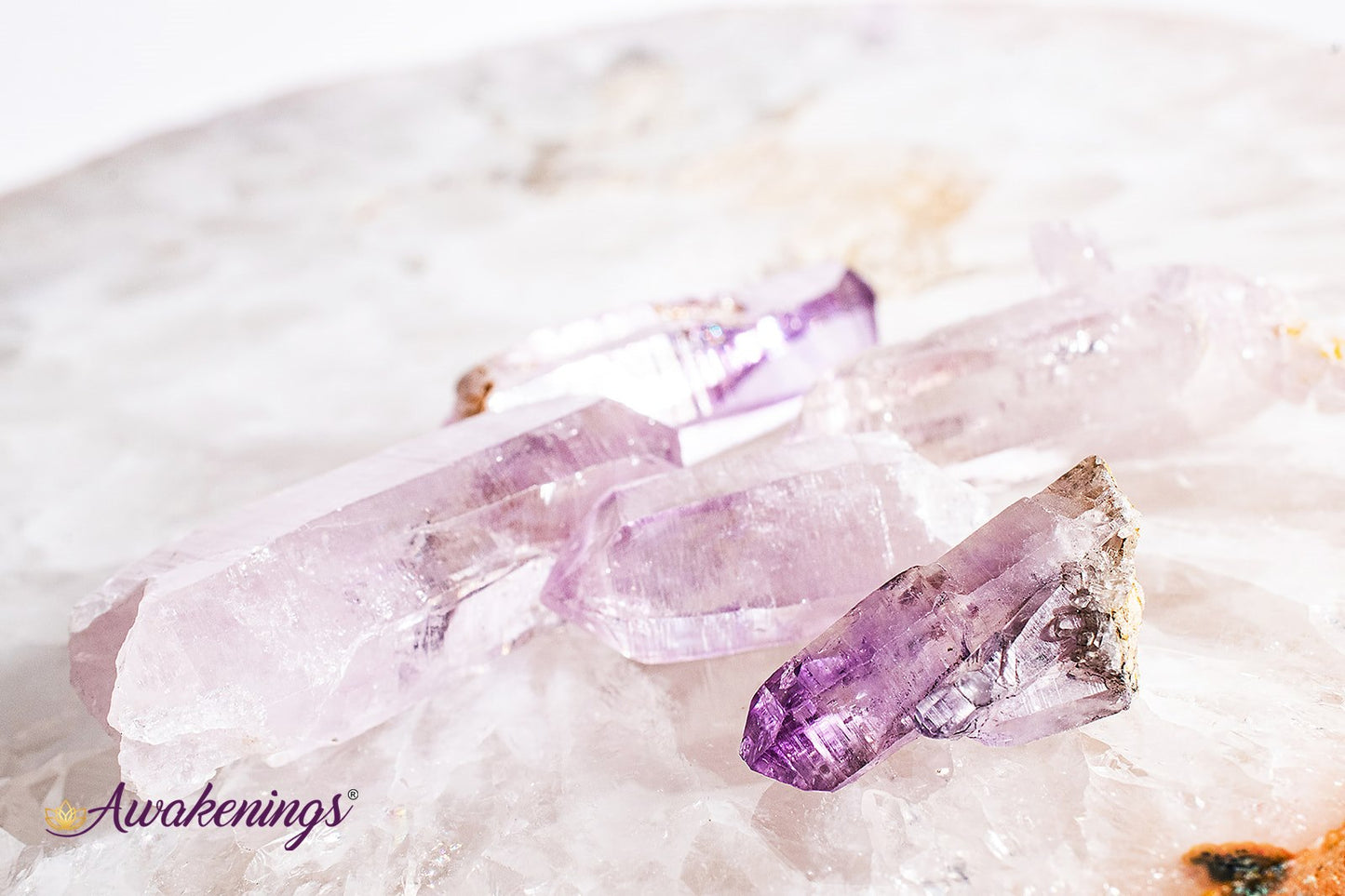 Vera Cruz Amethyst - Medium Point