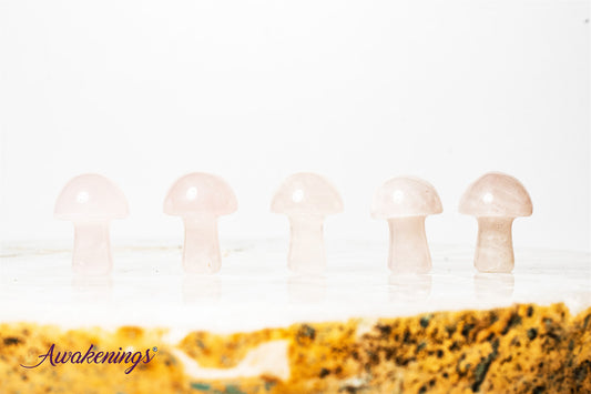 Rose Quartz Mushroom- Mini
