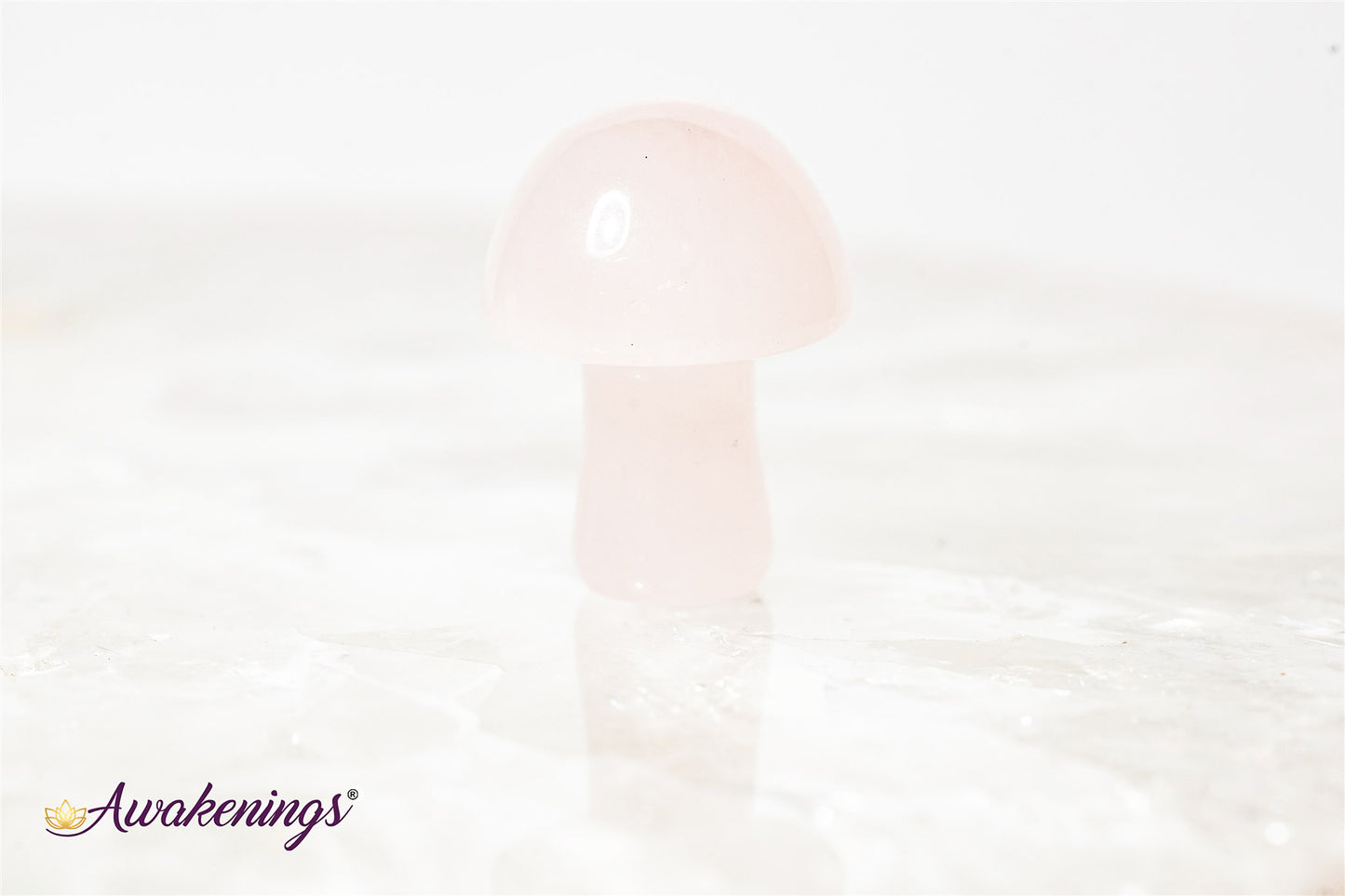 Rose Quartz Mushroom- Mini
