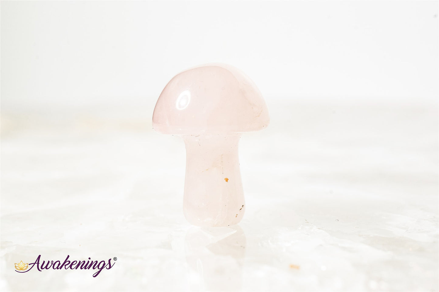 Rose Quartz Mushroom- Mini