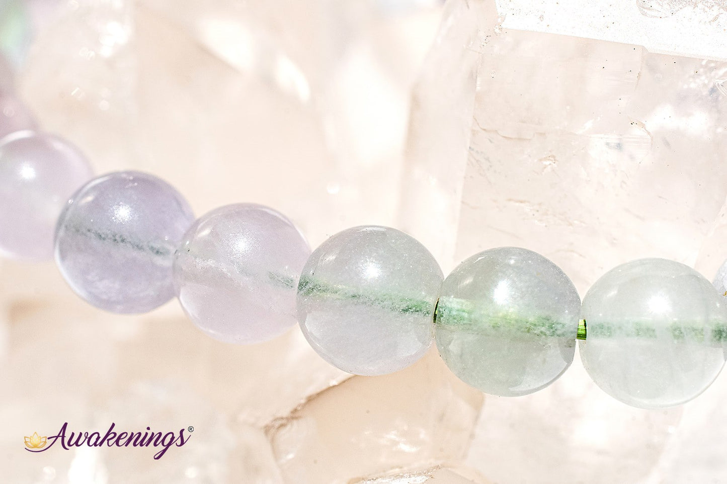 Lavender Fluorite Bracelet-8mm